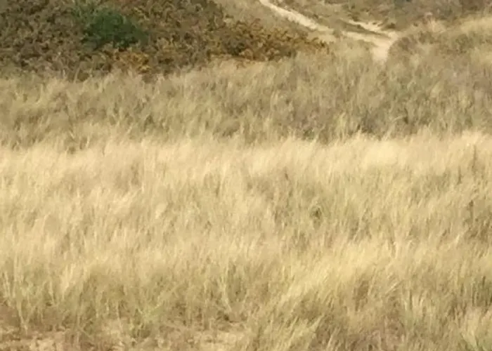 Apartment Mit Meerblick By Interhome Saint-Lo-d'Ourville